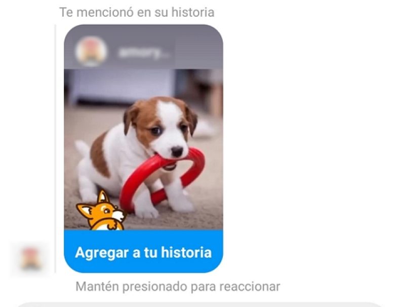 C Mo Compartir Historias De Instagram De Alguien En Tus Historias