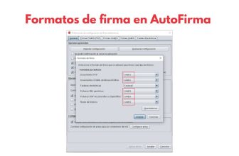 Formatos de firma en AutoFirma