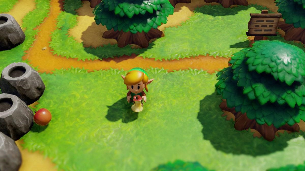 Conseguir la Lupa en Zelda Links Awakening