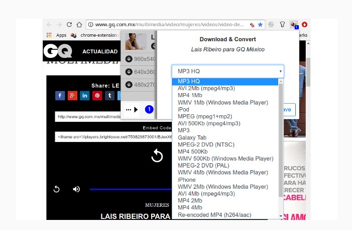 Extensiones para descargar de cualquier página web vídeos en Chrome