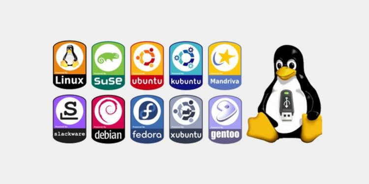 Cual distribución debes elegir al cambiar a Linux