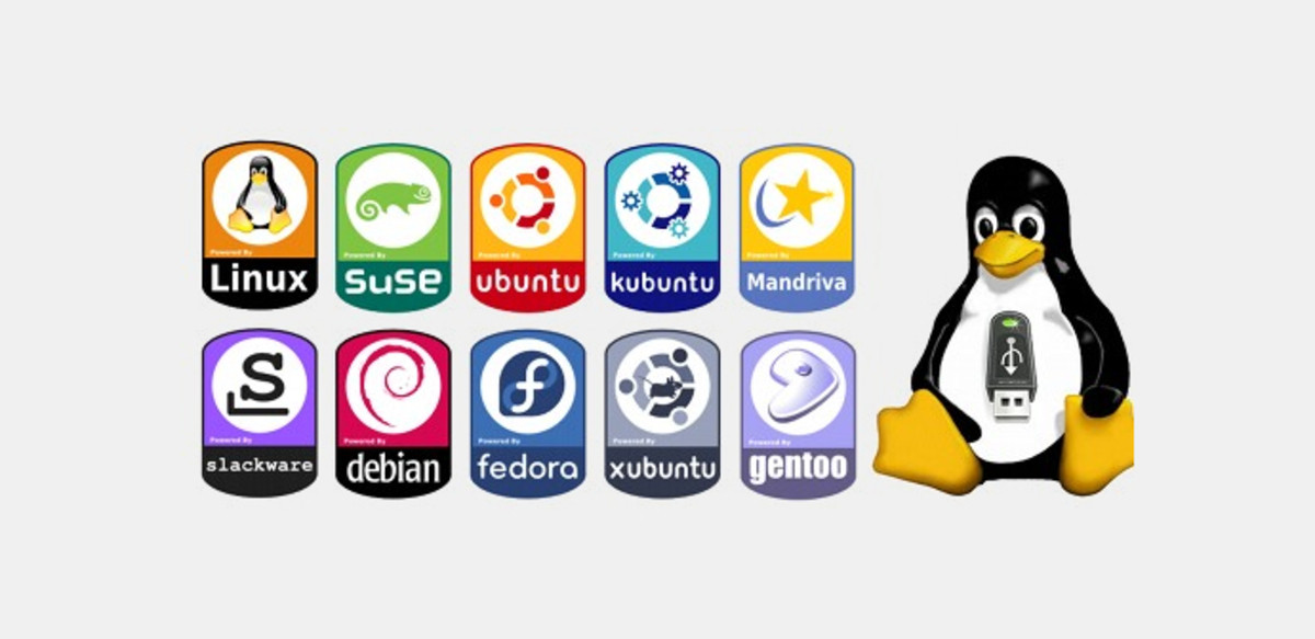 Cual distribución debes elegir al cambiar a Linux