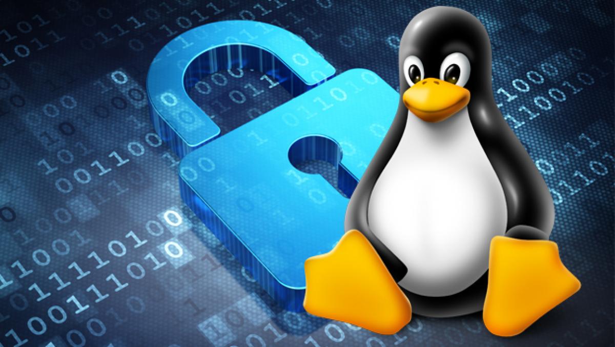 Las distribuciones de Linux más seguras