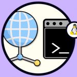 Los comandos de Linux más importantes para redes e Internet