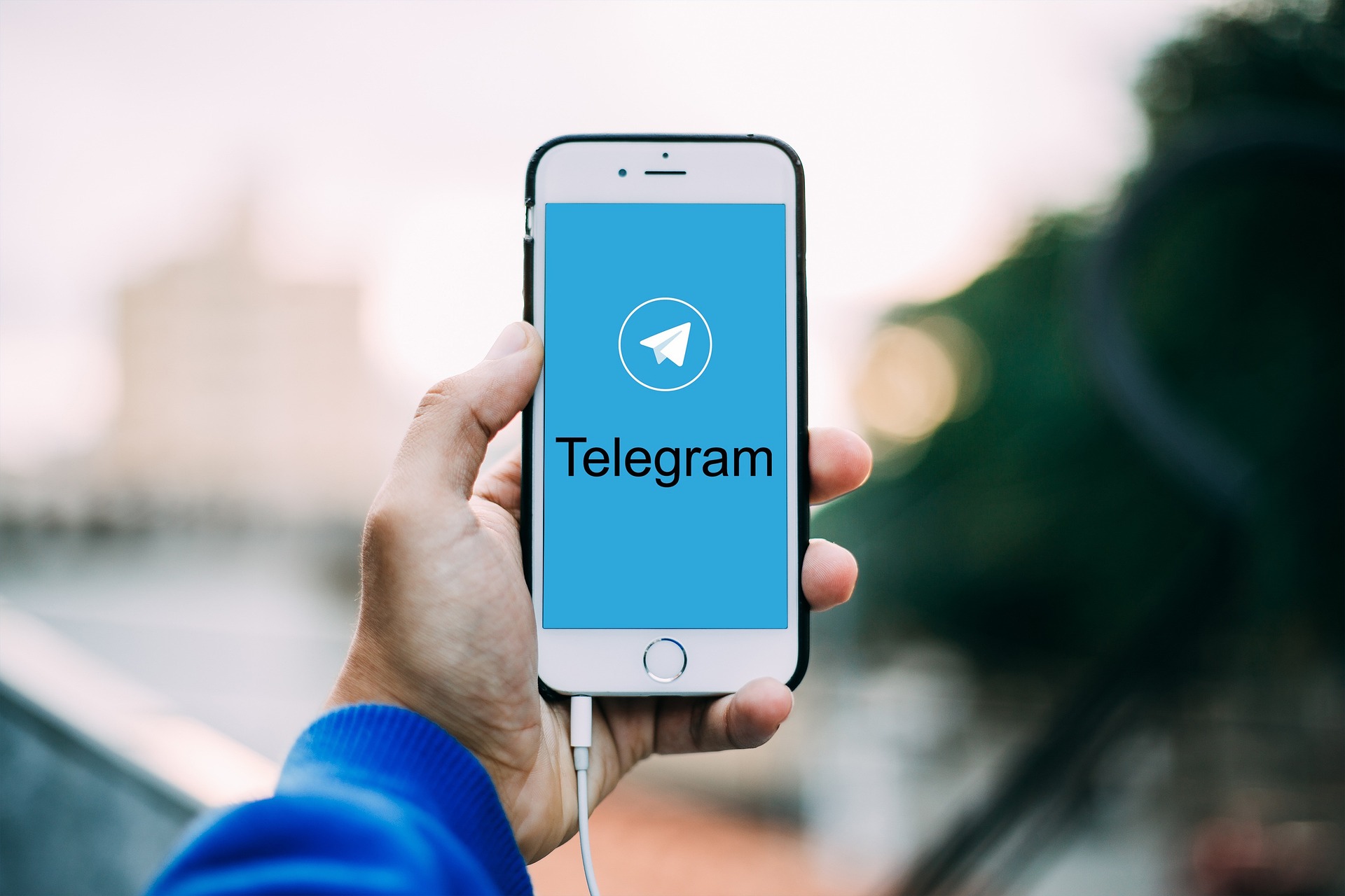 Canales y grupos para ver series en Telegram