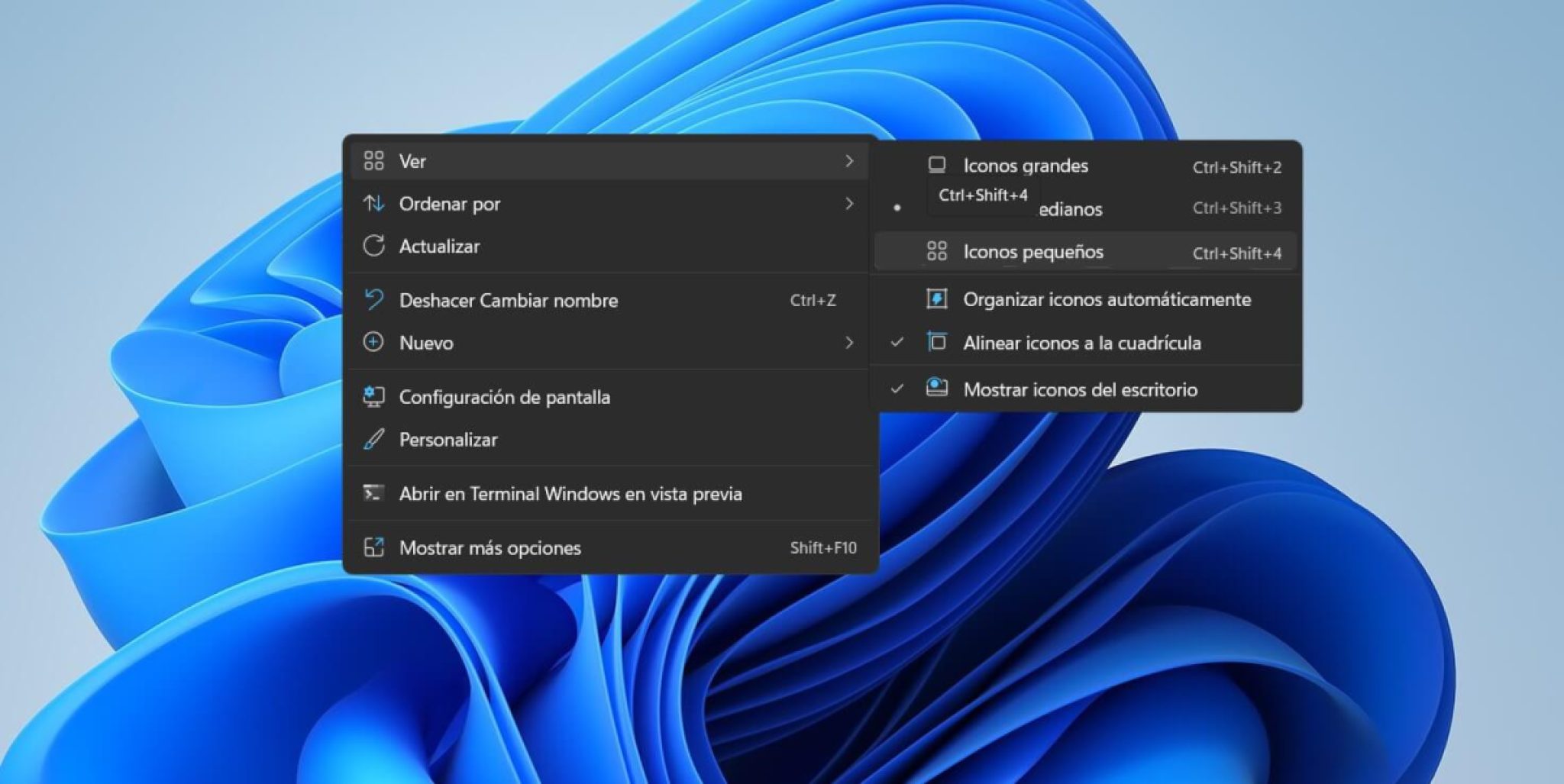 c-mo-cambiar-el-tama-o-de-los-iconos-en-windows-11-tecnoguia