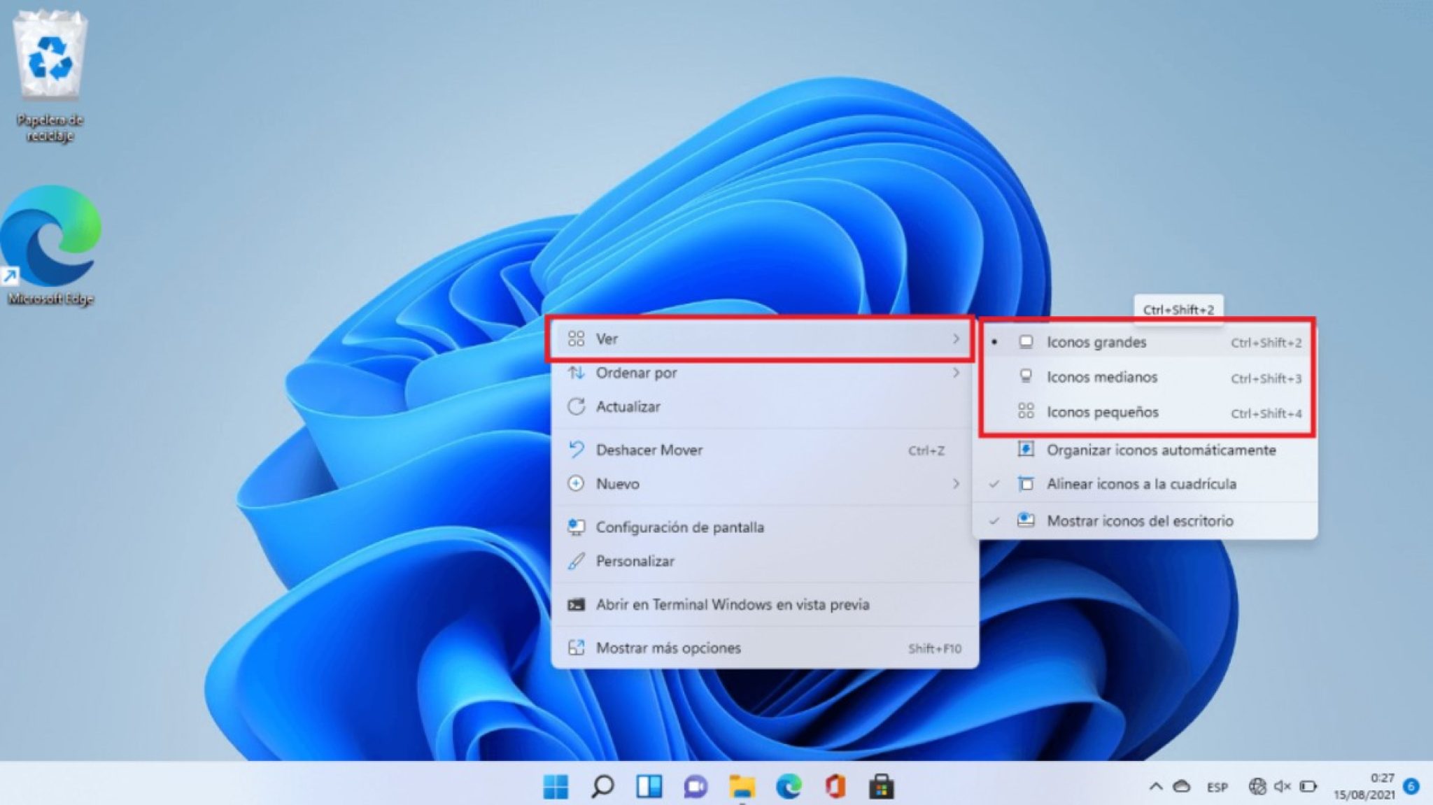 Cómo cambiar el tamaño de los iconos en Windows 11 - Tecnoguia