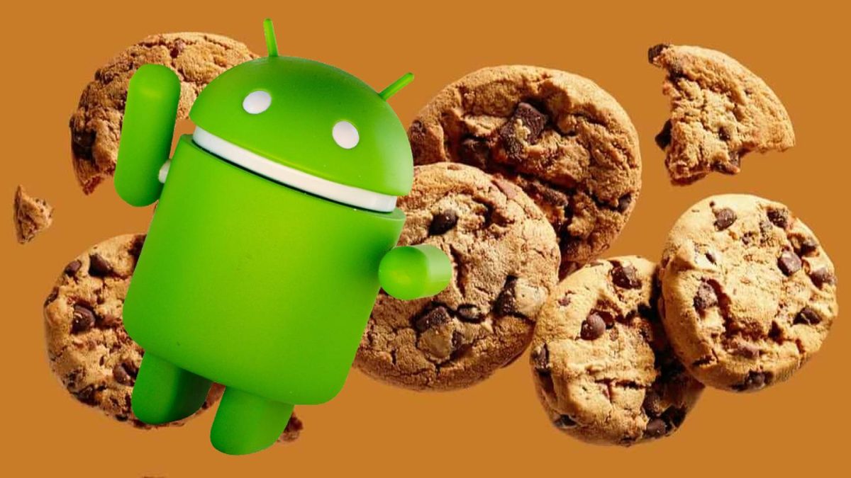 Cómo borrar las cookies en Android