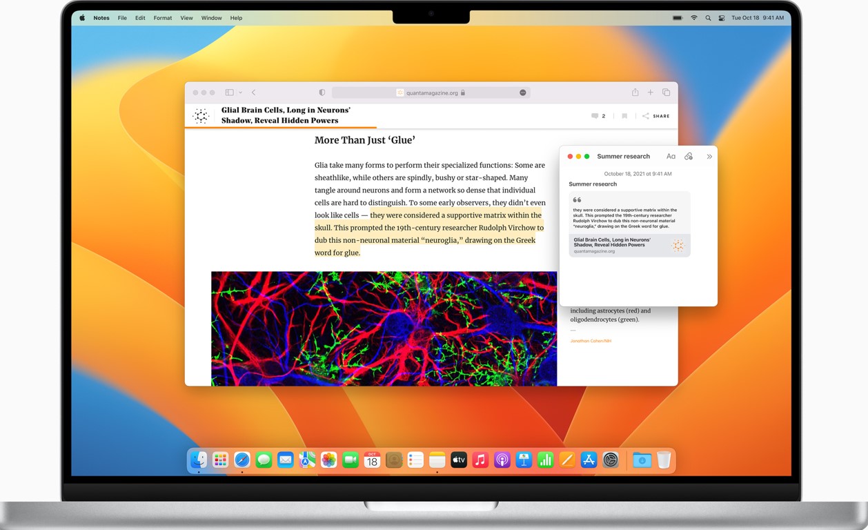 Métodos para copiar información de páginas web protegidas desde Safari