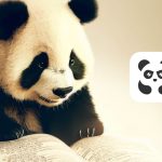 ¿Cómo rastrear tu pedido de Pandabuy?