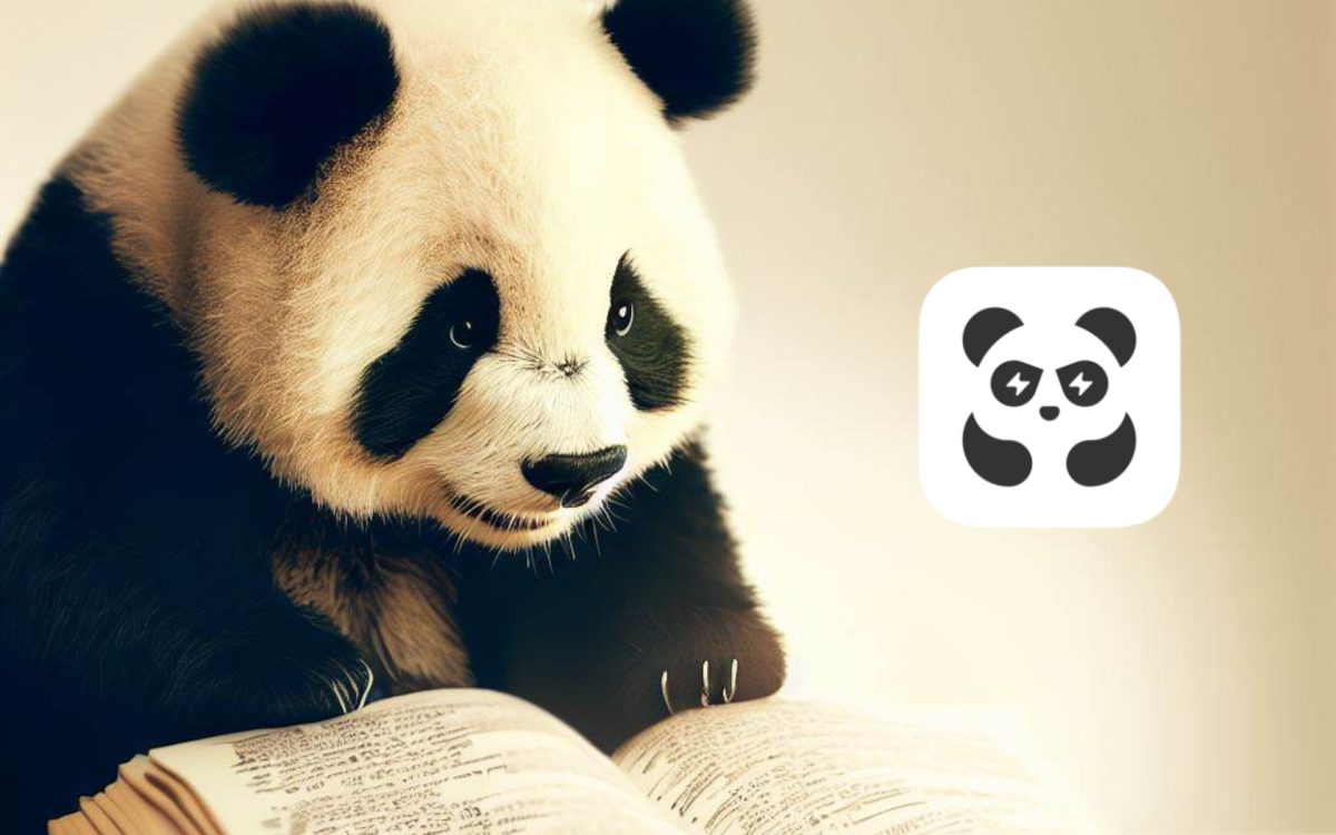 Cómo rastrear tu pedido de Pandabuy